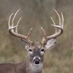 John Kilpatrick - @johnkilpatrick2008 - Instagram
