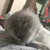 Полинка💘 - @vejonkinn - TikTok