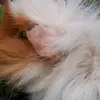 Jonas-Pilzkopf - @pilzkopf_jones - TikTok