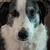 Jon Kopp - Facebook