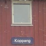 Jon Koppang - @jonkoppang - Instagram