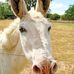 Jon Kyle - Facebook