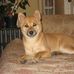 Jon Kyle - Facebook