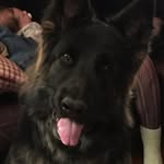 John Labelle - @labelle_john - Instagram