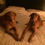 John Labelle - @gunner_charlie - Instagram