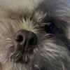 Jon Lamb - @jon.lamb30 - TikTok