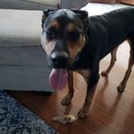 Jon Lambert - @lambert5814 - Instagram