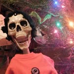 Jon Lance the Skeleton - @jon_lance_skeleton - Instagram