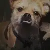 Jon - @jonlanz1 - TikTok