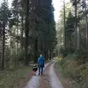 Jon law - @jonlaw - TikTok