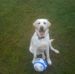Jon Lawton - Facebook