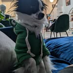 Jon Leggett - @chonk_floofinator - Instagram