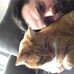 Jon Lemieux - Facebook