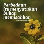 jon - @jon_lemon - Instagram