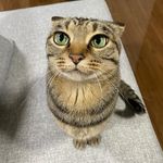 Jon lemon - @jonlemonlime - Instagram