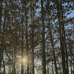 jon - @jon.lenzzz - Instagram