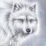 Jon Lenz - Facebook