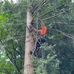 Jon Lenz - @treeguy98221 - Instagram