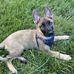 Jon Lerner - Facebook