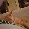 John Lewin - @john.lewin8 - TikTok