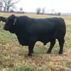 jonlewis33 - @jonlewis33 - TikTok