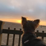 Jon - @jonlichterman - Instagram