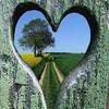 John Linck - @john.linck - TikTok