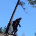 Jon Lind - Facebook