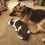 John Lindell - @m1lton_ - Instagram