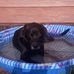 Jon Lindsey - Facebook