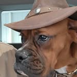 Jon Linville - @mr_merle_supreme_aka_trey - Instagram