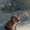 John Lippert - @john.lippert - TikTok