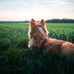 Jon Lira - Facebook