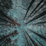 @jon_lockhart - Instagram