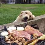 Jon Lockmanese - @jonlockmanese - Instagram