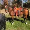 John Loftis - @john.loftis2 - TikTok