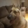 John Lombardi - @john.lombardi5 - TikTok