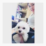 Ying Shine - @jonlon30 - Instagram