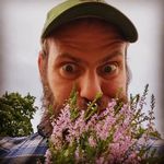 jon loo - @primulaprunus - Instagram