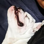 Jon Louie - @lyfe_wit_loie - Instagram