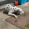 JonnyLovejoy - @jonnylovejoy - TikTok