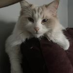 Jonathan Loveless - @jonloveless.123 - Instagram