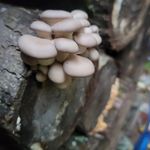 Jon Lowry - @nodiggityfarms - Instagram