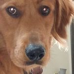 John Luebke - @johnluebke - Instagram