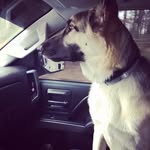 Jon Lugo - @rammerjammer1689 - Instagram