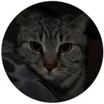 John Lujan - @johnlujan3r - Instagram