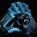 Jon Lujan - @panthersfan336 - Instagram