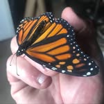John Lupton - @jlup2020 - Instagram