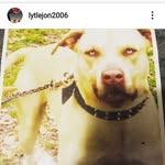 jonlytle - @jonlytle6 - Instagram