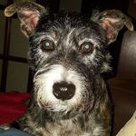 Jon Madden - @jon.madden.52 - Instagram